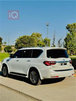 انفنتي QX80